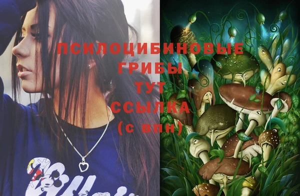 ALPHA PVP Заволжск