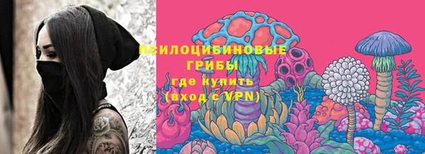 ALPHA PVP Заволжск