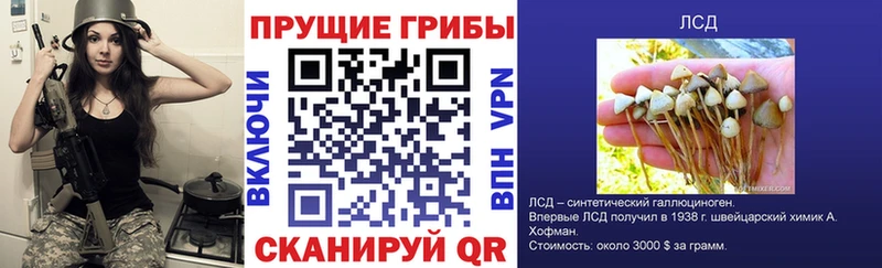 Галлюциногенные грибы Cubensis  Купить  Нижняя Тура 